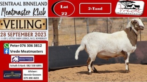 1X MEATMASTER RAM Vrede Meatmasters