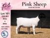 1+1X STUD DORPER OOI/EWE PINK SHEEP DORPERS - 3