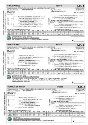 BUYERS T & C together with PDF CATALOGUE