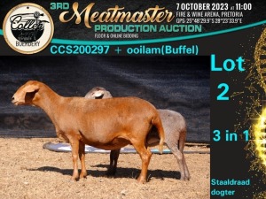 1+1X MEATMASTER OOI/EWE 3 in 1 Collen Boerdery