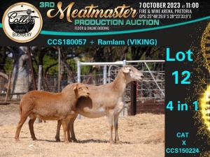 1+1X MEATMASTER OOI/EWE 4 in 1 Collen Boerdery