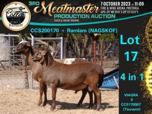 1+1X MEATMASTER OOI/EWE 4 in 1 Collen Boerdery