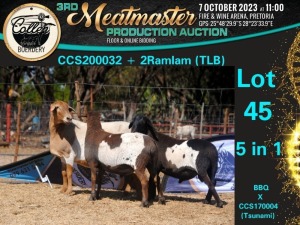 1+2X MEATMASTER OOI/EWE 5 IN 1 Collen Boerdery