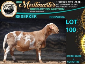 1X MEATMASTER RAM Collen Boerdery