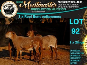 3X MEATMASTER OOI/EWE Collen Boerdery (Pay per animal)