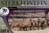 5X MEATMASTER OOI/EWE Sterkfontein Meatmasters - 2