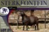 1X MEATMASTER RAM Sterkfontein Meatmasters - 2