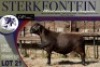 1X MEATMASTER RAM Sterkfontein Meatmasters - 4