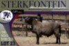 1X MEATMASTER RAM Sterkfontein Meatmasters - 2