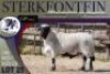 1X MEATMASTER RAM Sterkfontein Meatmasters - 3
