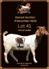 WITHDRAWN - 1X BOER GOAT DOE ESP BOER GOAT STUD