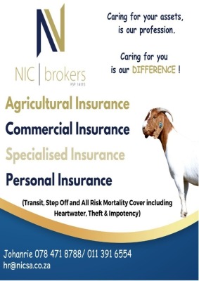 NIC Brokers - Sponsor