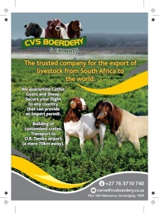 CVS Boerdery - Sponsor