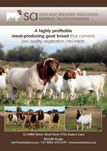 SA Boer Goat Breeders' Association - Sponsor