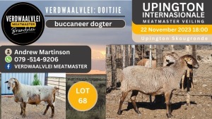 WITHDRAWN - LOT 68 2X MEATMASTER OOI/EWE VERDWAALVLEI MEATMASTERS (Pay per Animal)