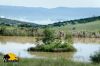 2 DAYS (3 NIGHTS) WATERVALE SAFARI HUNT: NHLAMVINI PRIVATE GAME RESERVE, KZN