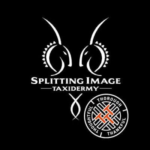 1 x USD$1000 TAXIDERMY VOUCHER (OUTFITTER TO PURCHASE AND GIFT TO A CLIENT for the 2024/25 season
