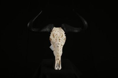 1 x CARVED BLUE WILDEBEEST SKULL.