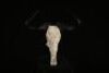1 x CARVED BLUE WILDEBEEST SKULL.