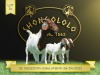 1+2X Boer Goat Flock Doe Shongololo Boerbok Stoet 1569