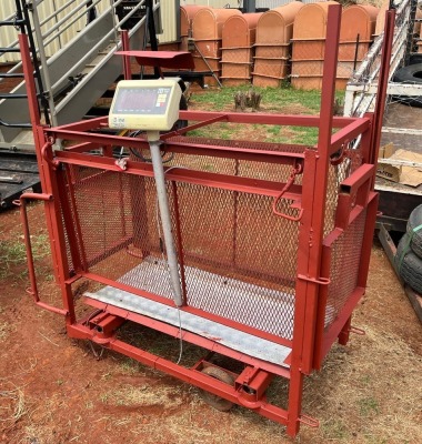 1x Goat Weighing Crate with Electronic Scale Suzanne van Dyk BBS