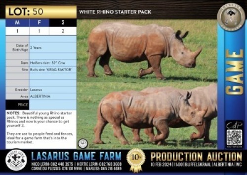 2X White Rhino starter pack Lasarus Game Farm (Pay per Animal)