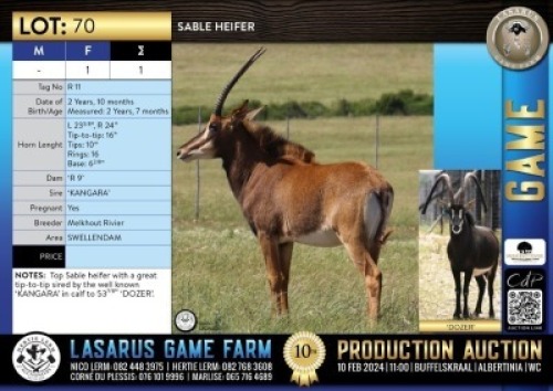 1X Sable heifer Melkhout Rivier