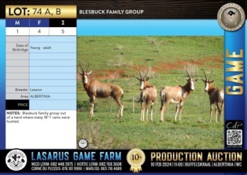 5X Blesbuck family group Lasarus Game Farm (Pay per Animal)