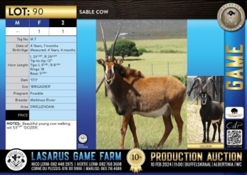 1X Sable cow Melkhout Rivier