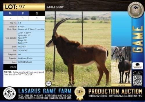 1X Sable cow Melkhout Rivier