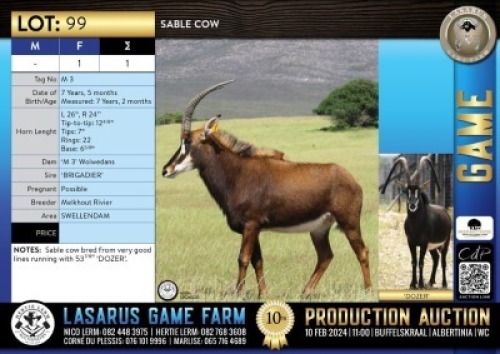 1X Sable cow Melkhout Rivier