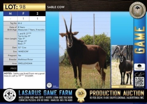 1X Sable cow Melkhout Rivier