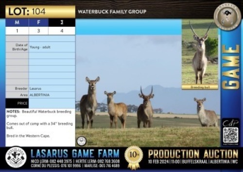 4X Waterbuck family group Lasarus Game Farm (Pay per Animal)