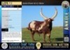 10X Semen straws of 43'' 'BONA' Lasarus Game Farm (Pay per Item)
