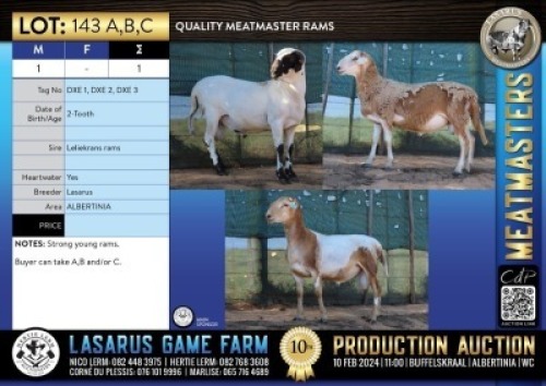 1X Quality Meatmaster rams Lasarus Game Farm