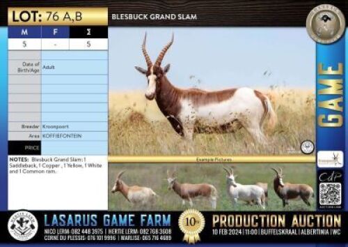 5X Blesbuck Grand Slam Kroonpoort (Pay per Animal)