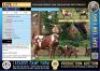 1+3X Stud registered Cape Lob Ear ewe with triplets Lasarus Game Farm