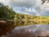 Umlondolozi Game Farm - 1847 HA Vaalwater - Landhouse - 4