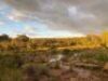 Umlondolozi Game Farm - 1847 HA Vaalwater - Landhouse - 13