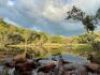 Umlondolozi Game Farm - 1847 HA Vaalwater - Landhouse - 16