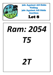 LOT 8 1X DORPER T5 RAM ATKA STOET/STUD