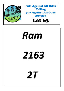 LOT 63 1X DORMER RAM KALKVLEY DORMERS