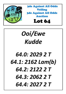 LOT 64 5X DORMER FLOCK EWE KALKVLEY DORMERS