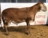 1X MEATMASTER RAM OSVLEY MEATMASTERS