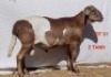 1X MEATMASTER RAM OSVLEY MEATMASTERS