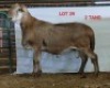 1X MEATMASTER RAM OSVLEY MEATMASTERS