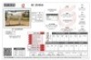 1X CHIANINA MALE CIAMKC 210055 Kadash Chianinas - 2