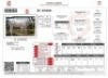 1X CHIANINA PREGNANT FEMALE CIAFKC 210045 Kadash Chianinas - 2