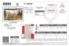 1X CHIANINA PREGNANT FEMALE CIAFLC 160021 Kadash Chianinas - 2
