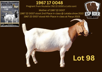 WITHDRAWN - 1X BOER GOAT DOE ESP BOERBOK STOET